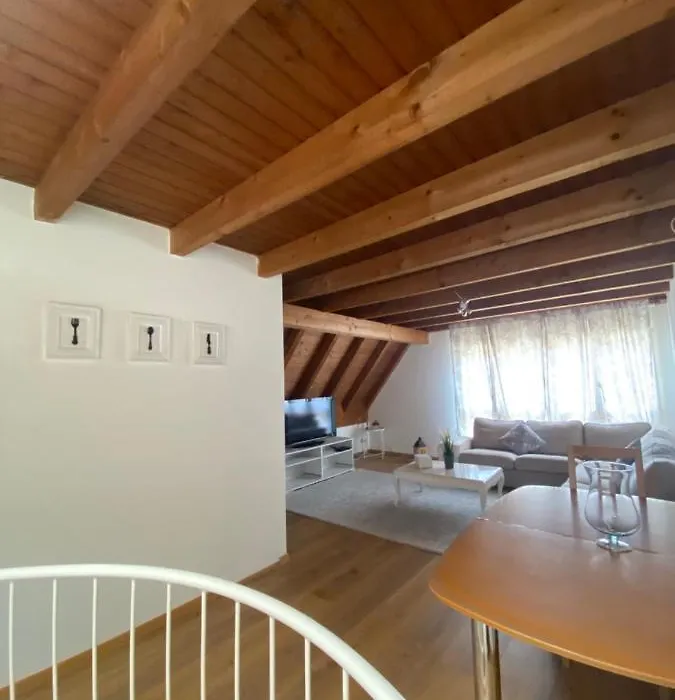 Get Cozy Family Flat Zuerich-1