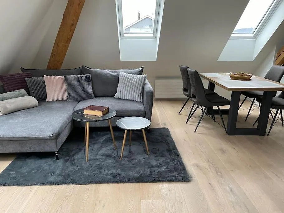 Gemuetliche & Zentrale Wohnung In Der Stadt Zuerich-1