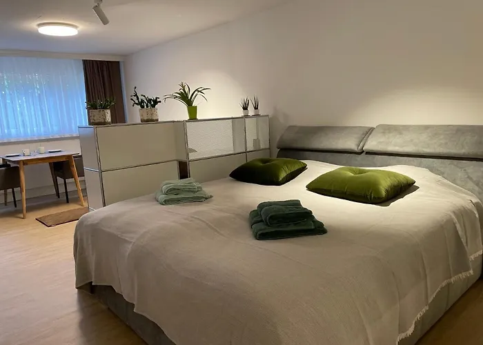 Huisdiervriedelijke Studio Gocki Zürich