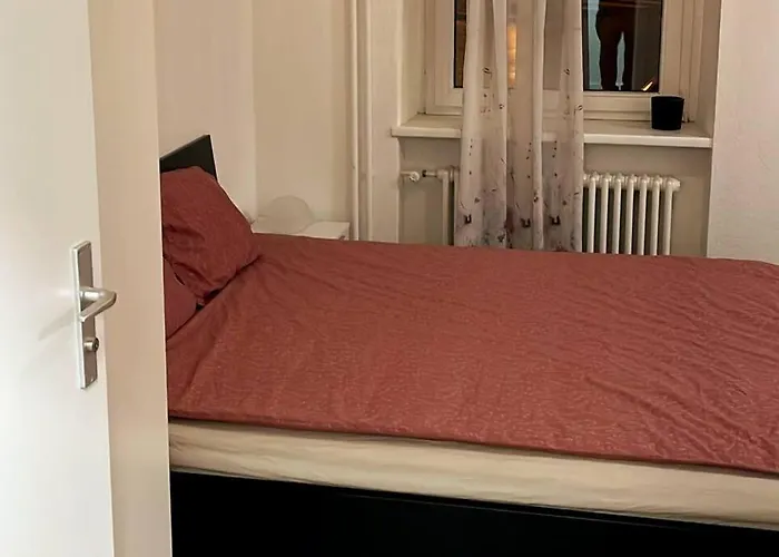 Haustierfreundliches Comfortable furnished studio apartment @Zürich 1